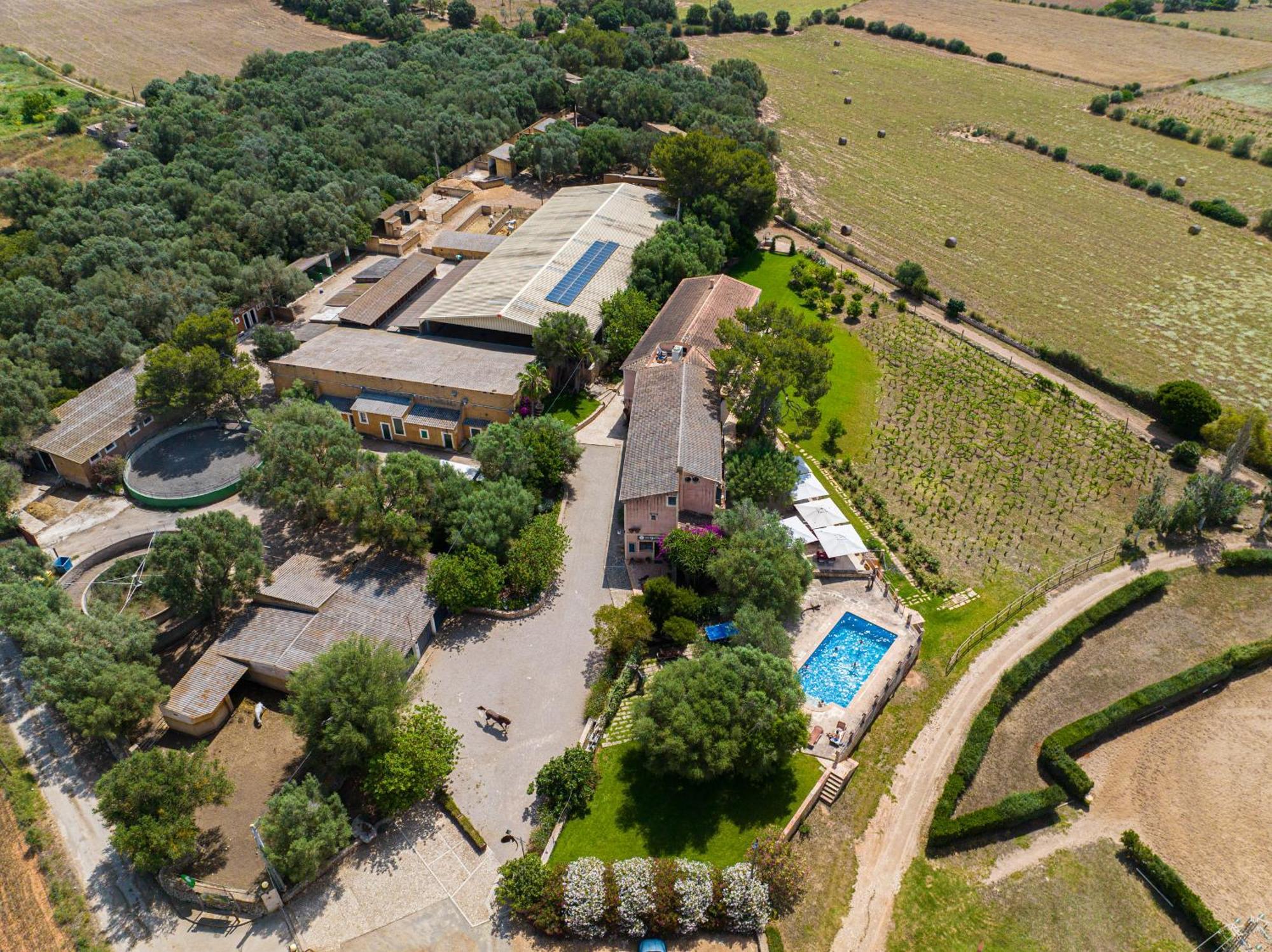 Finca Agroturismo Son Menut Felanitx Exterior photo